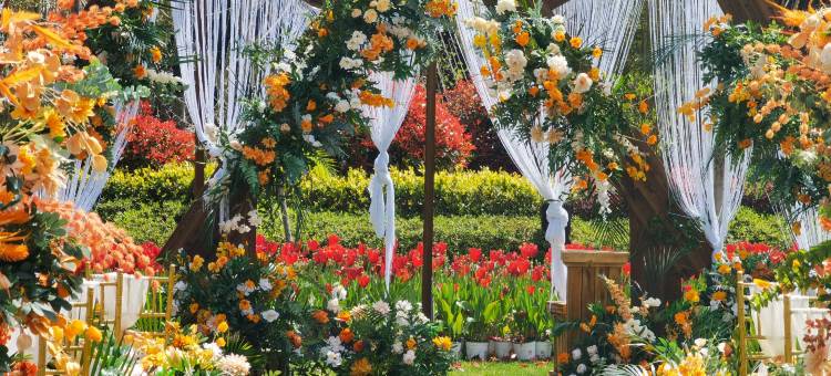 杭州鸬鸟希尔顿花园酒店图片