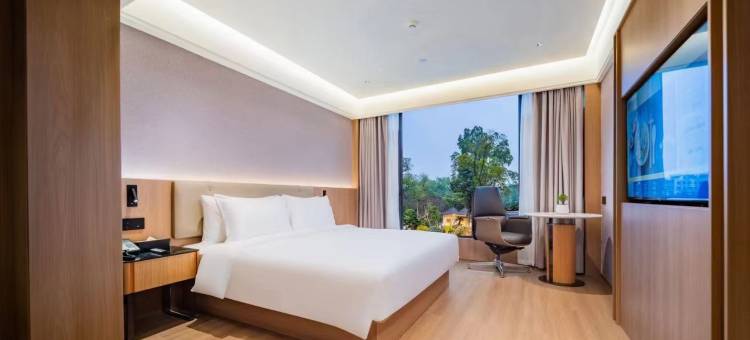 龙源大酒店(岳阳火车站南湖广场店)图片