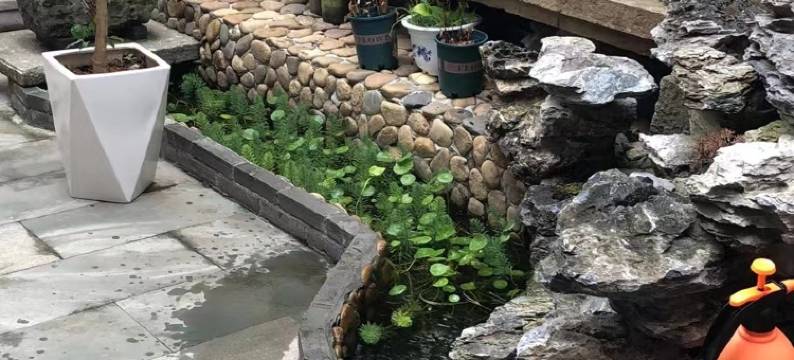 兰溪云燕梓民宿(诸葛八卦村店)图片