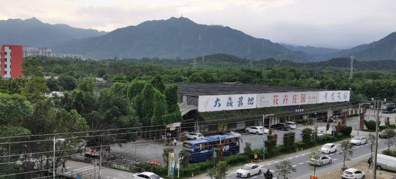 紫霞民宿图片