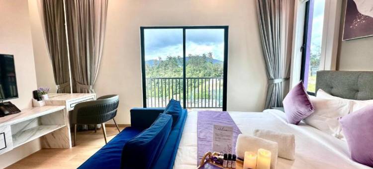 金马伦薰衣草豪宅玩耍酒店(Cameron Lavender Mansion)图片