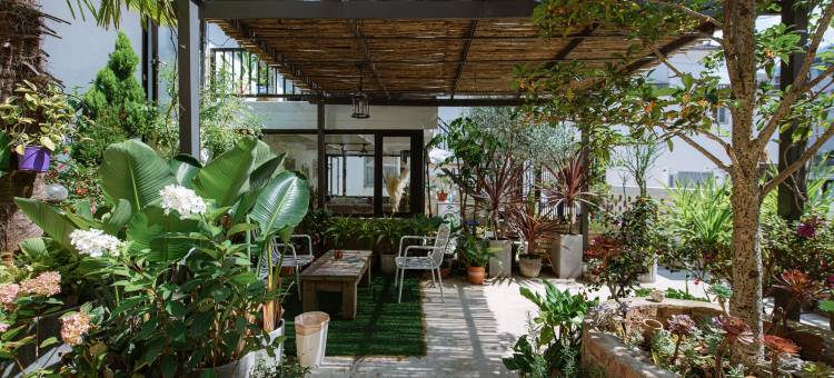 花筑·取景框花园民宿(大理古城店)图片