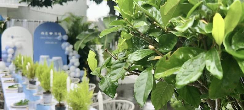 罗马假日海景疗愈度假别墅图片