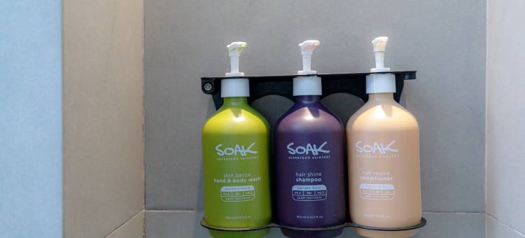 曼谷 18 街丽亭酒店(Park Plaza Bangkok Soi 18)图片