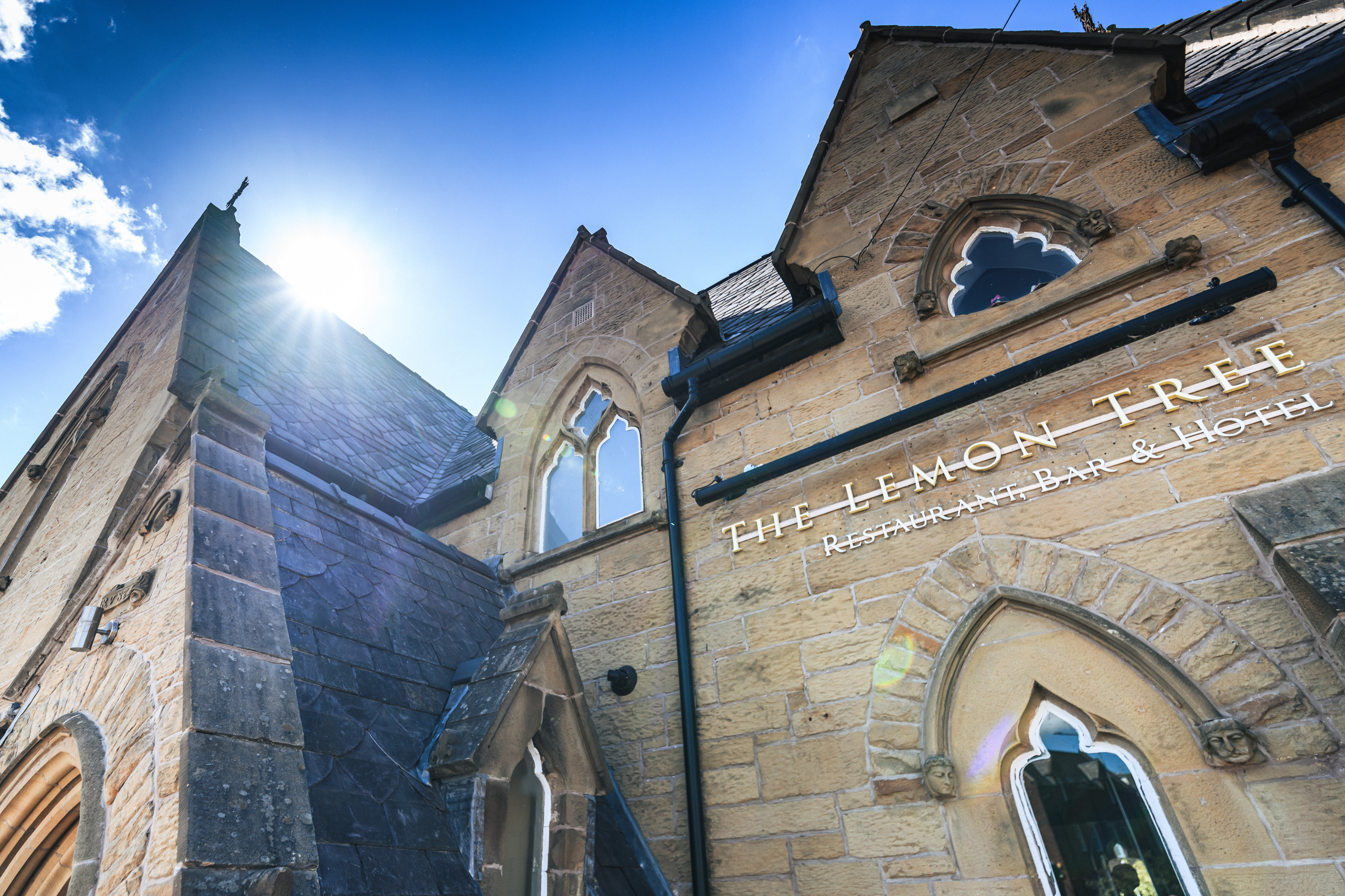 The Lemon Tree Over view