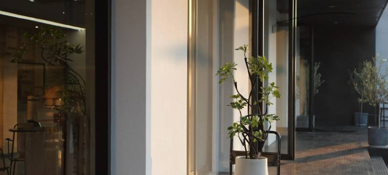 安吉·屿光青旅图片