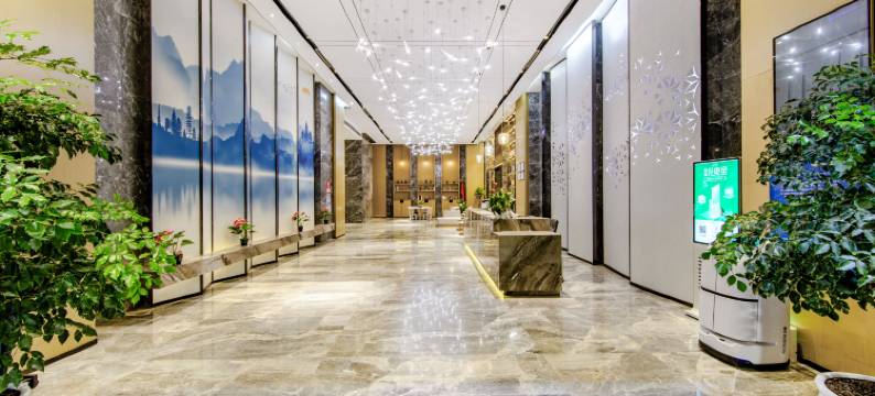 铂曼国际酒店(深圳科学技术馆圳美地铁站店)图片