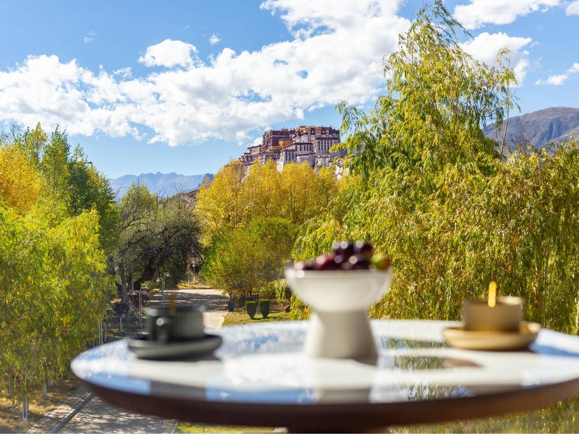 泊舍观景富氧酒店(布达拉宫大昭寺店)图片