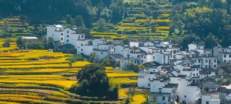 漫山轻语· Villa设计师美宿(篁岭风景区店)图片