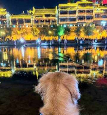 云桥雅居·Life轻奢设计民宿(凤凰古城店)图片