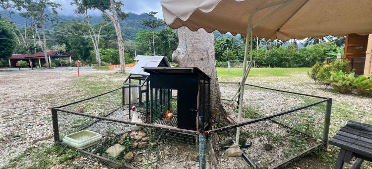 Capital O 91152 Jerot Dusun Campsite图片