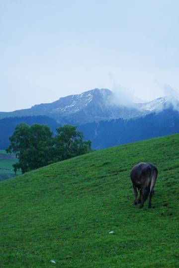 星野间|STARFIELD·星空之境·云端秘境度假民宿(琼库什台店)