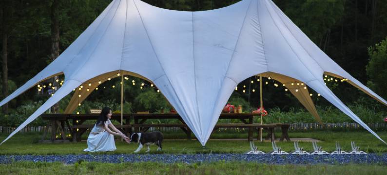 合子·HEZI 环山观景·溯溪垂钓·星空泳池私汤度假美宿图片