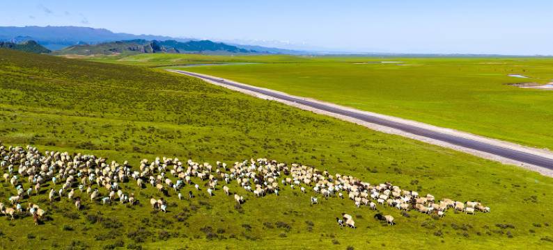 听水湾自驾营地图片
