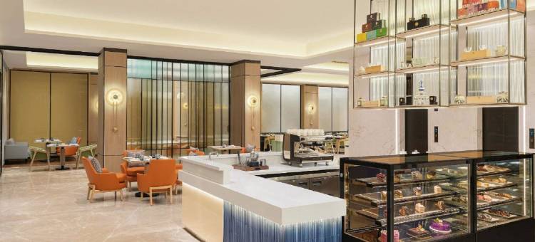 苏拉特市中心希尔顿花园酒店(Hilton Garden Inn Surat City Centre)图片