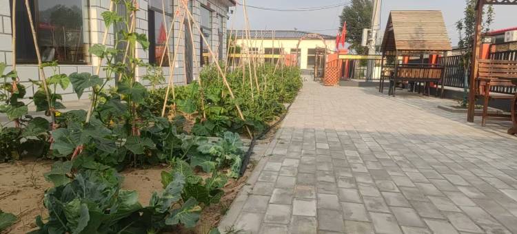 达拉特旗沙之隅民宿图片