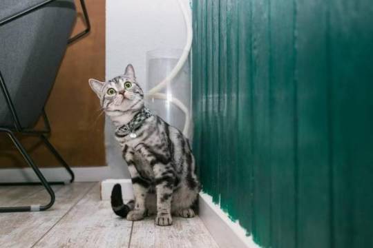 欢聚商务公寓(汕头高铁站店)图片