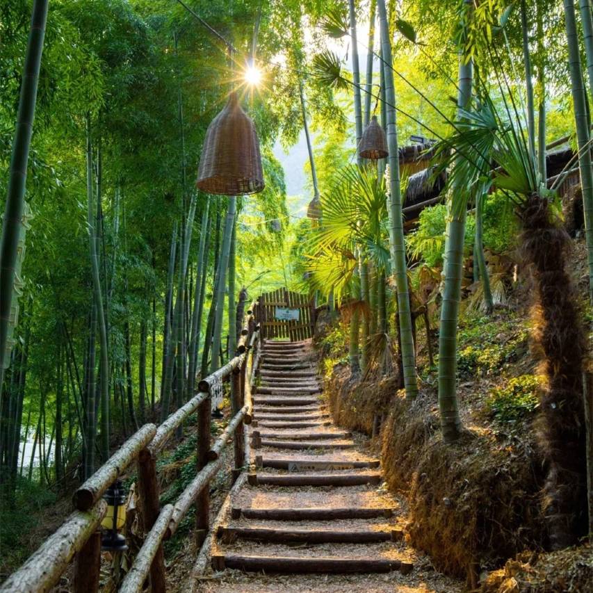 安吉云上草原度假村·松鼠部落酒店图片