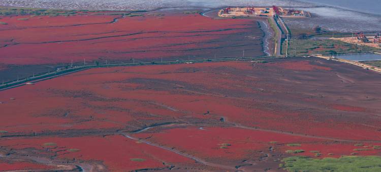速8优选酒店(盘锦大洼客运站店)图片