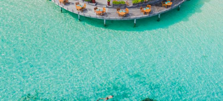 巴罗什马尔代夫酒店(Baros Maldives)图片