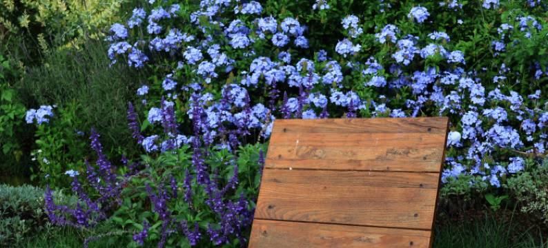 大理目野安林·观山宿(洱海生态廊道店)图片