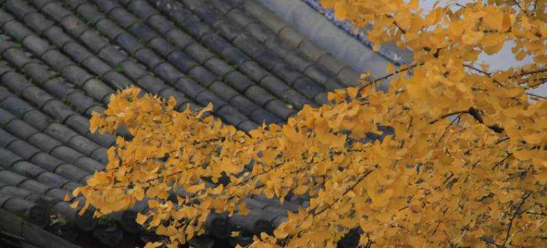 暮桥里民宿(苏稽古镇店)图片