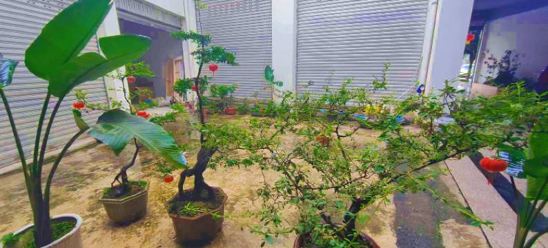 芦山姜城熊猫酒店图片