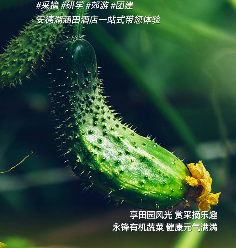 安德湖涵田酒店图片