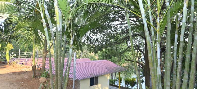 Mahabaleshwar Agro Village图片