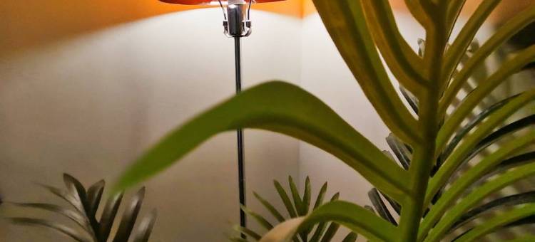 小憩人轻旅图片