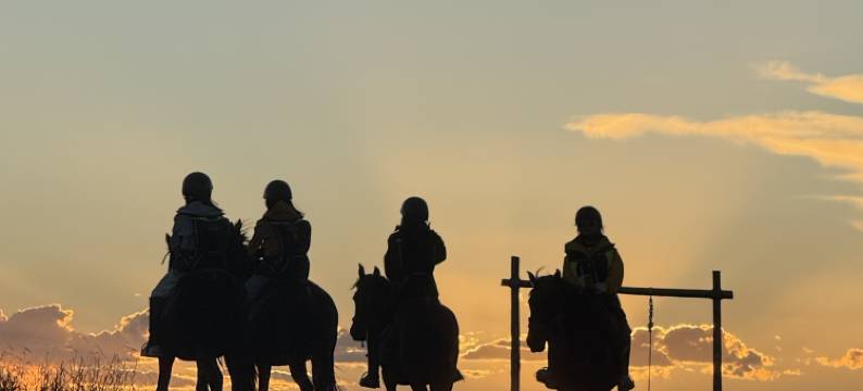 若尔盖花间苑·牧雲酒店图片