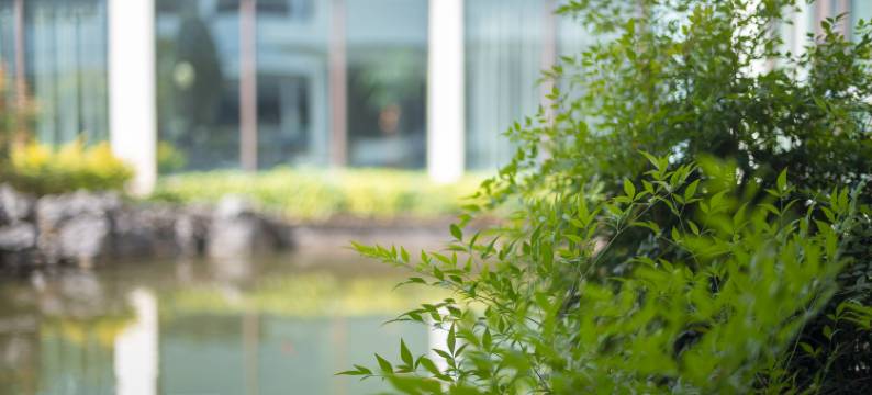 桂山华星酒店(东西巷七星公园店)图片