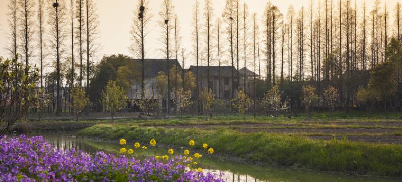 乌镇乌村稻舍乡村酒店图片