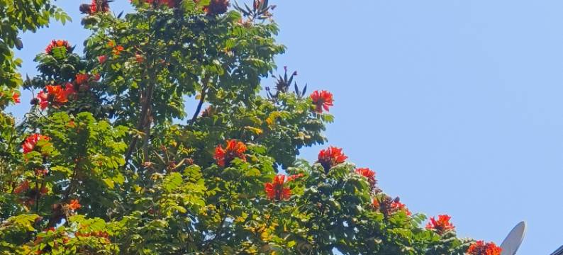 如家·云上四季尚品酒店(瑞丽财富广场旅游步行街店)图片