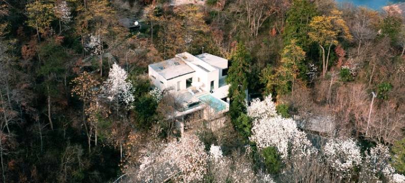武汉樾和林泉白玉兰民宿图片