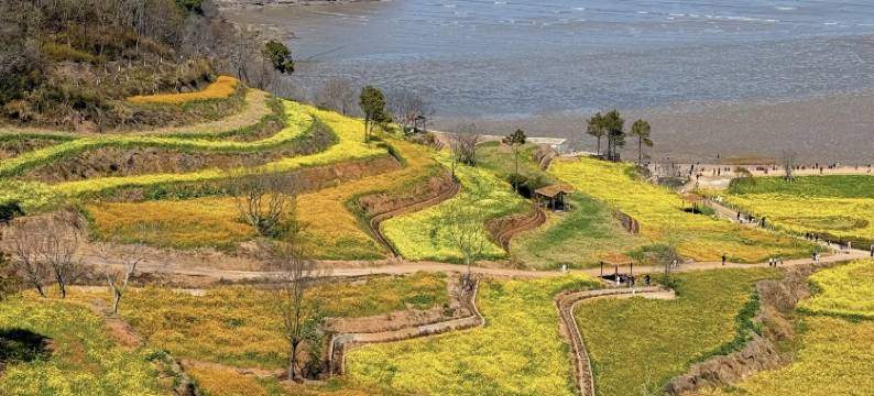 朵高四季觅享D⁺酒店(宁波象山客运东站象山港路店)图片