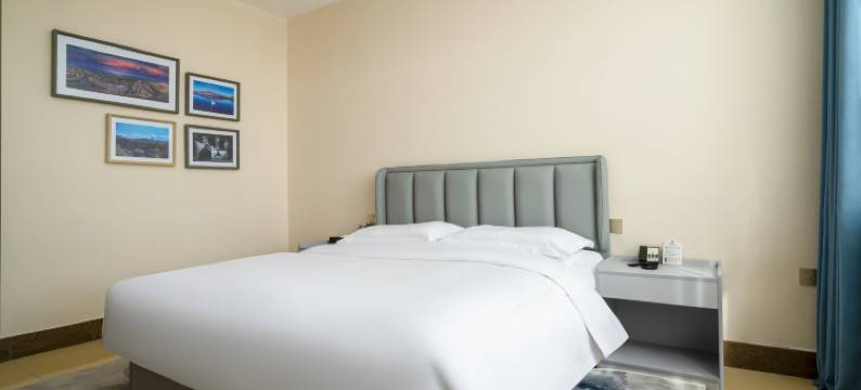 乌鲁木齐君达鸿雁宾馆(国际大巴扎天山区人民政府店)图片