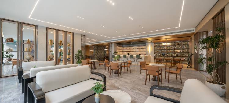 百色田阳国际大酒店(布洛陀文化中心店)图片