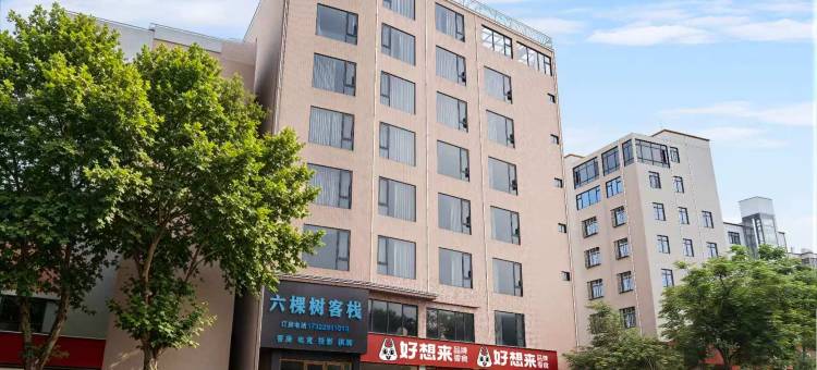 六棵树客栈(湛江湖光岩广东海洋大学店)图片