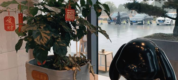 宣城宣州希尔顿惠庭酒店图片