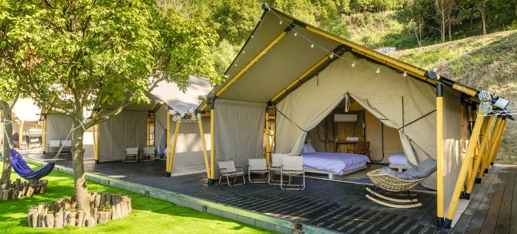 山上种树牛樟森林休闲农场图片