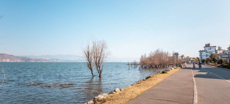 大理·苍岳观海·中德文化主题海景客栈(才村店)图片