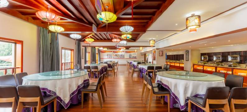 林芝天宇藏秘主题酒店图片