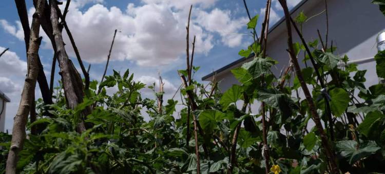 安辰民宿(响沙湾旅游区店)图片