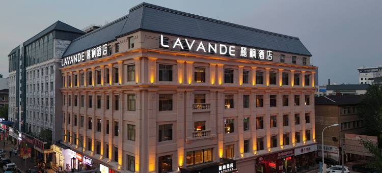 麗枫酒店(黑河中央步行街店)图片