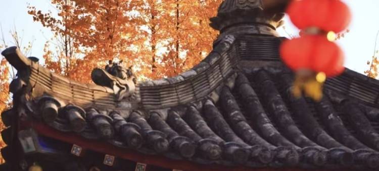 花筑·梵墅智能民宿(河洛古城杨湾地铁站店)图片