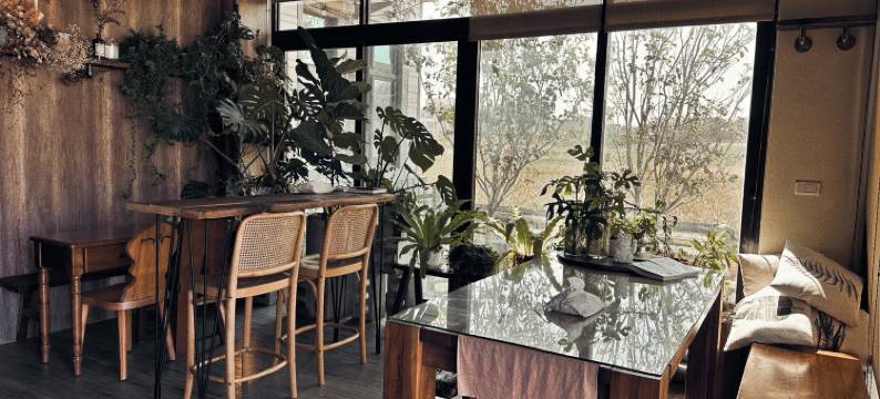 白猫民宿：慢活金门住这里图片