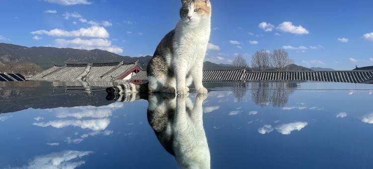 花筑·阳光三地丨Cloud天空之境·落日晚霞观景美宿(束河古镇店)图片