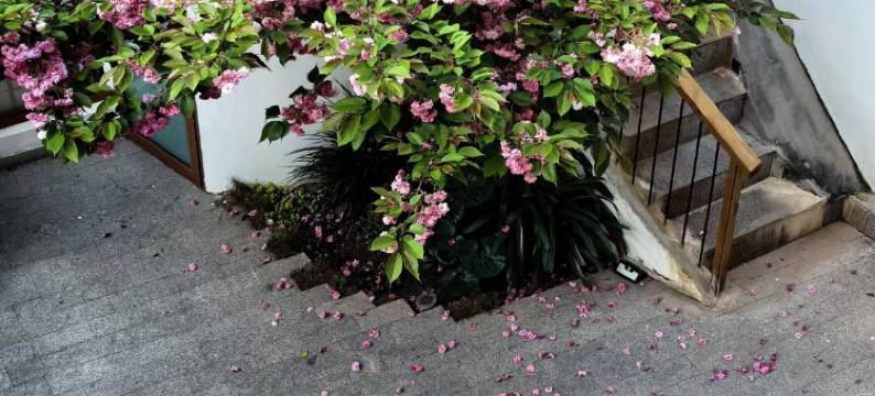 丽江古城•百花谷客栈图片