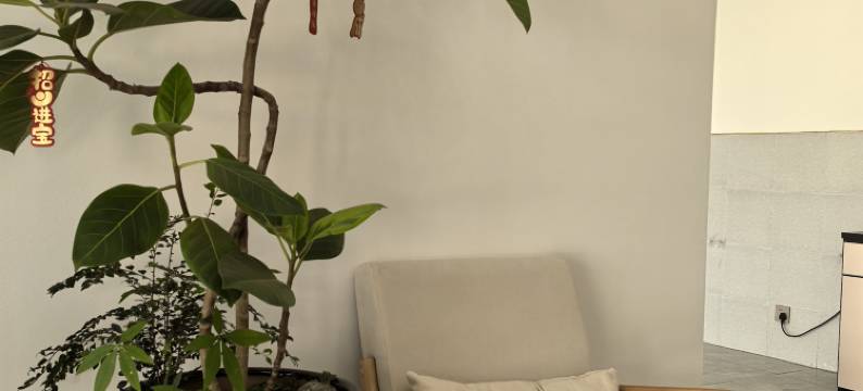 芒熙乐·轻奢民宿图片